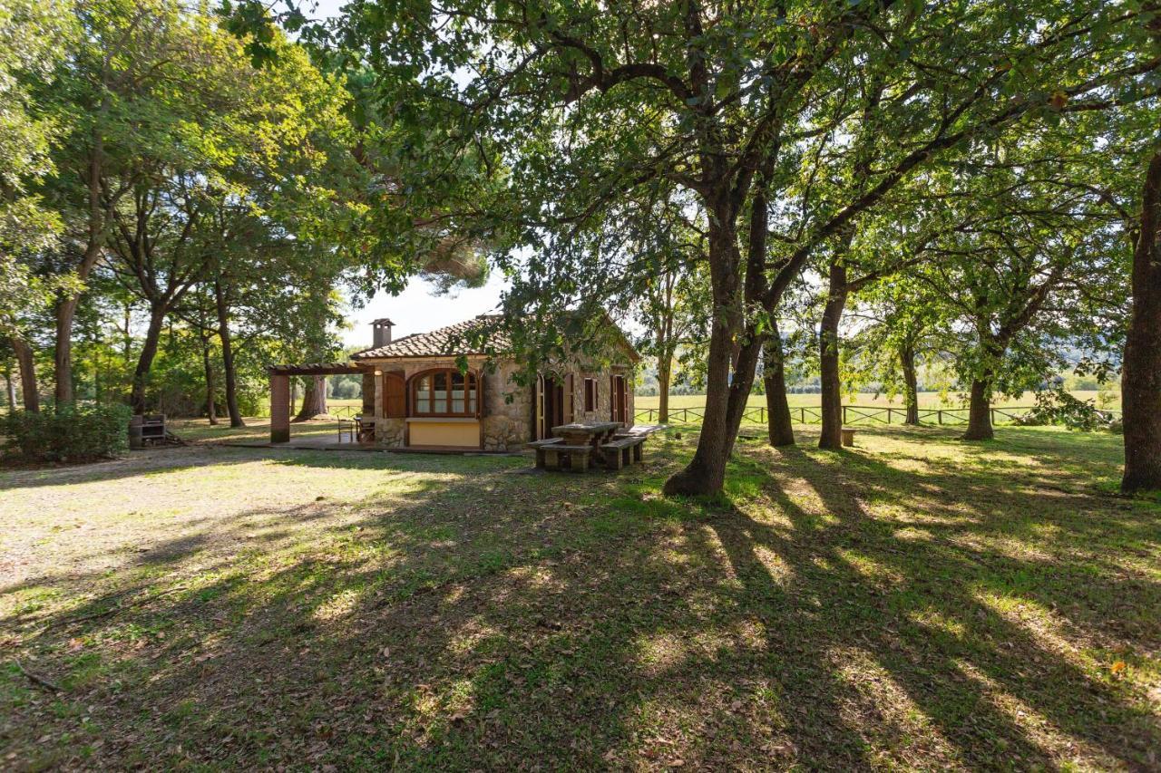 Cottage Il Gabbro Montescudaio Dış mekan fotoğraf