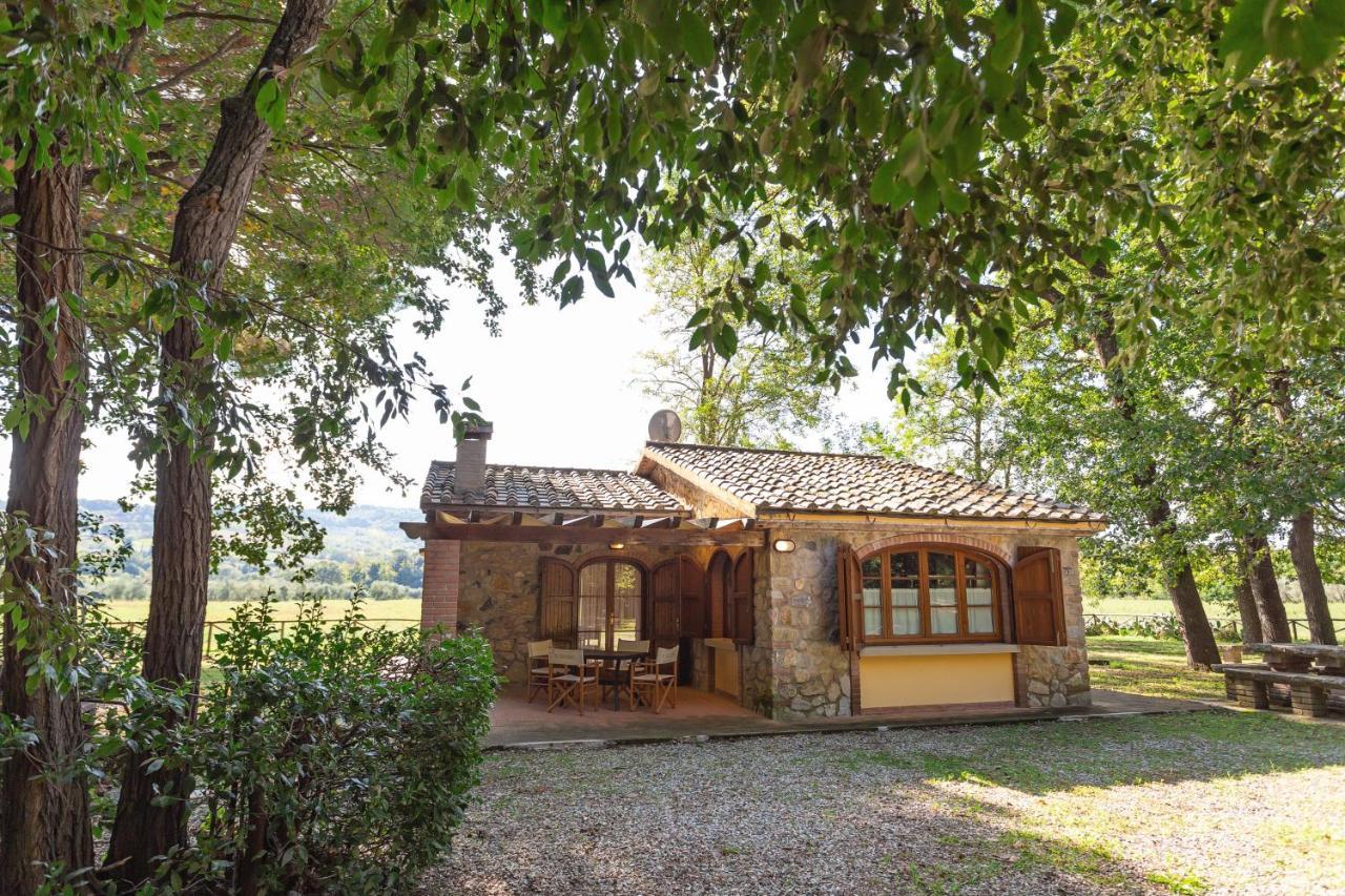 Cottage Il Gabbro Montescudaio Dış mekan fotoğraf