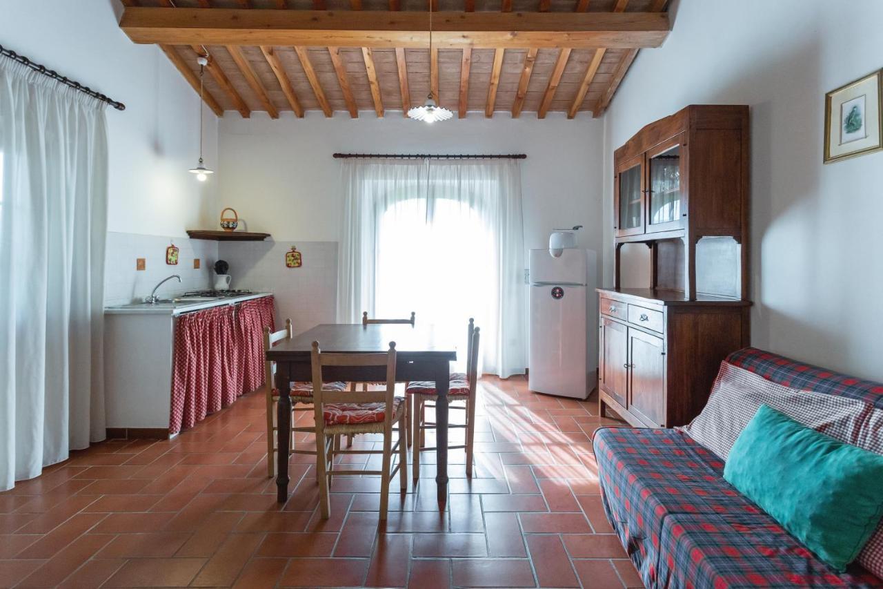 Cottage Il Gabbro Montescudaio Dış mekan fotoğraf