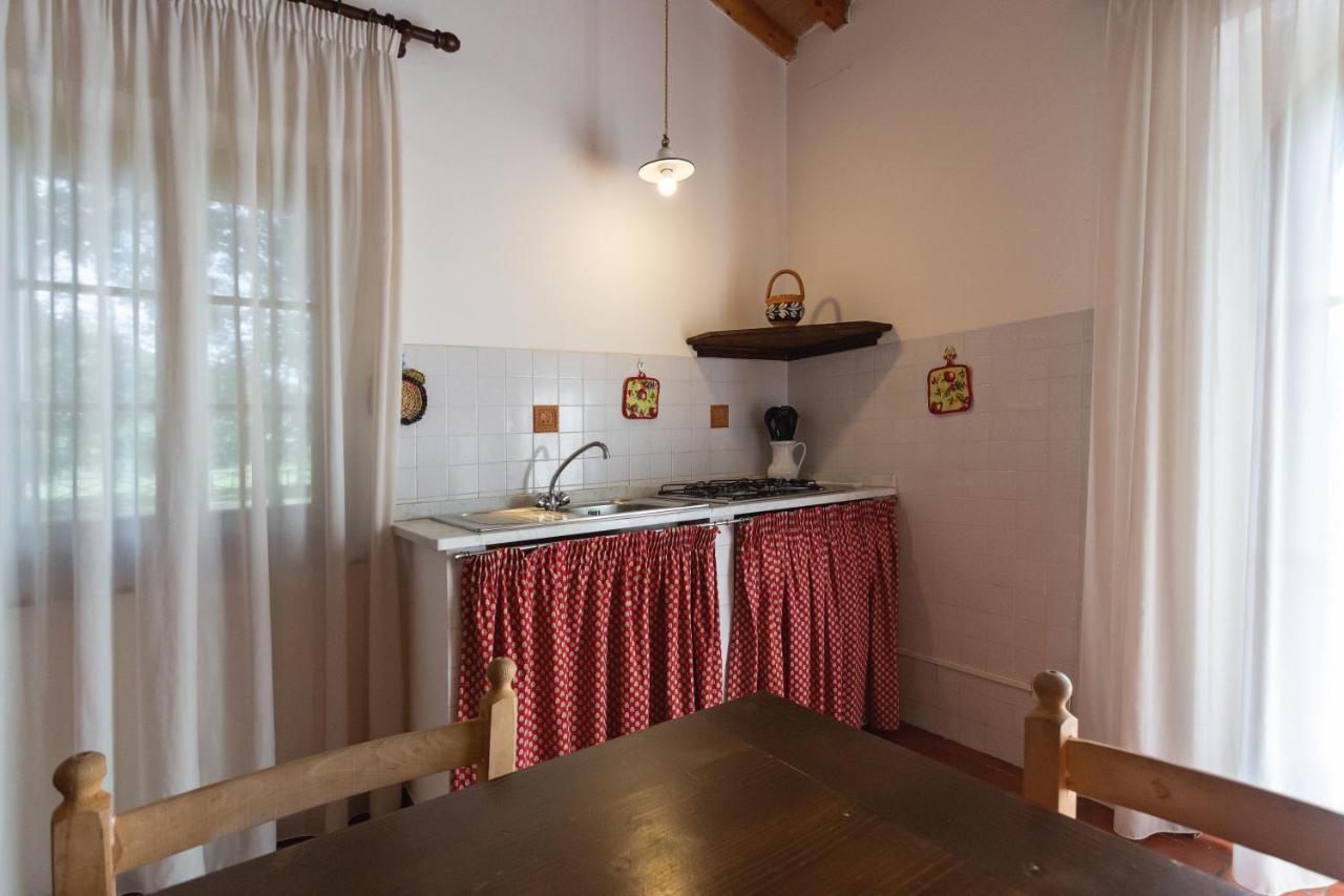 Cottage Il Gabbro Montescudaio Dış mekan fotoğraf