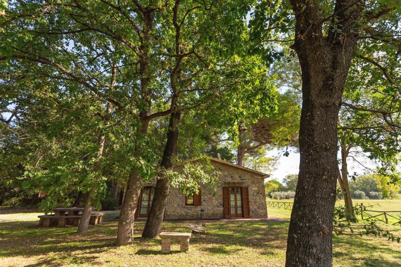 Cottage Il Gabbro Montescudaio Dış mekan fotoğraf